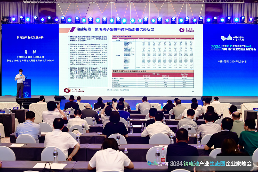 2024中國(無錫)鈉電池產業(yè)生態(tài)圈企業(yè)家峰會現場 2024中國(無錫)鈉電池產業(yè)生態(tài)圈企業(yè)家峰會現場