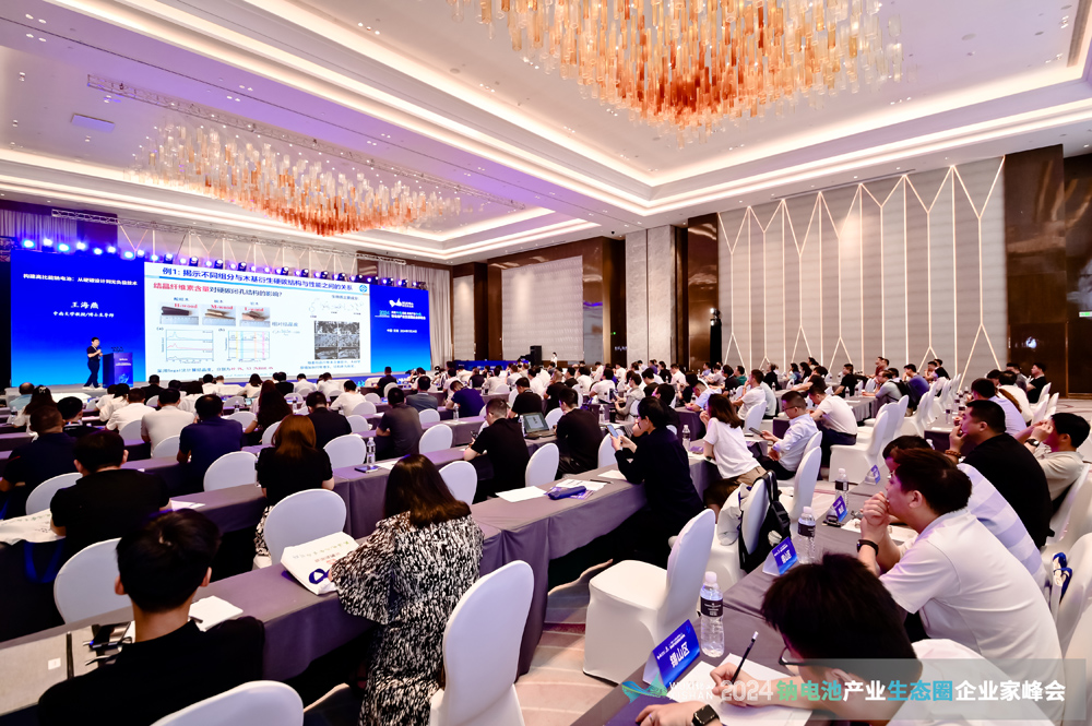 風(fēng)口？風(fēng)險(xiǎn)？千億級(jí)鈉電池賽道如何突圍？