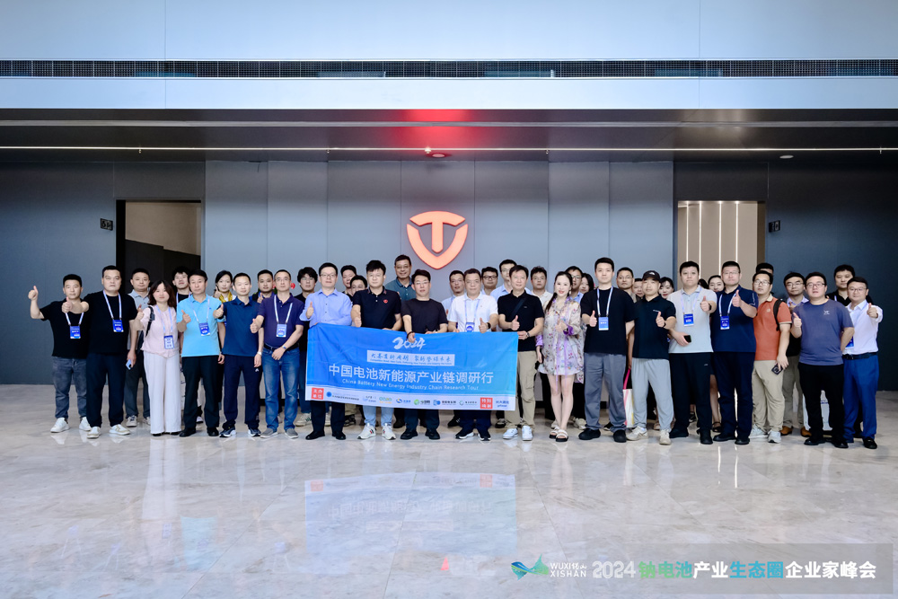 臺鈴科技股份有限公司 臺鈴科技股份有限公司