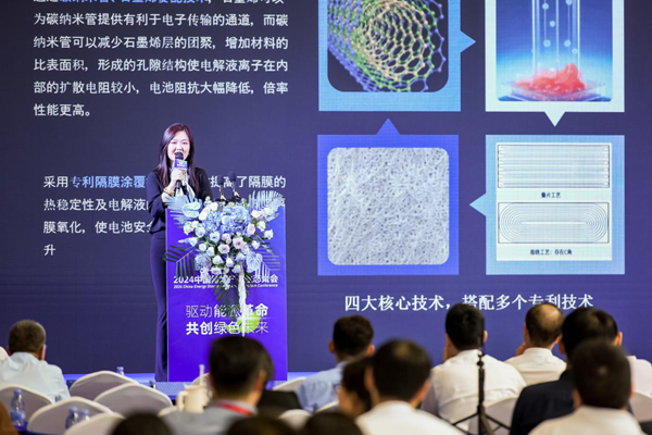 邢東鋰電副總經理兼國際業務總裁 李佳