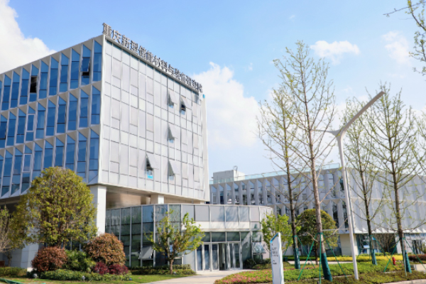 儲能電池,儲能,鎂離子電池 儲能電池,儲能,鎂離子電池