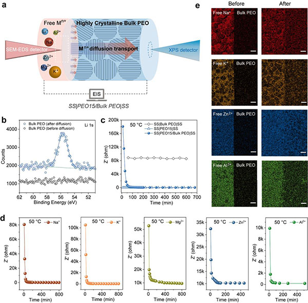 圖1. 高結晶PEO塊體中的離子自適應擴散現象 圖片來源：中國科學院金屬研究所