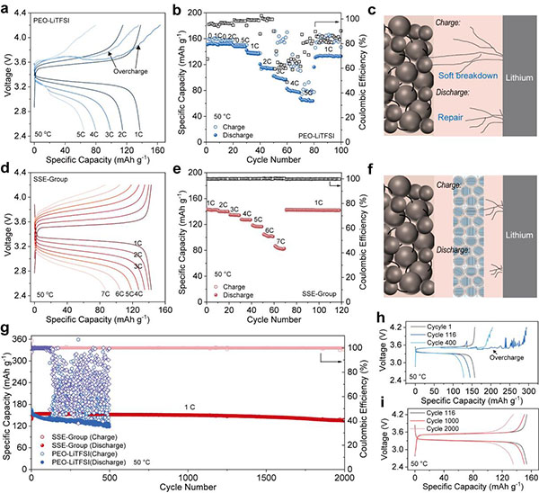 圖2. 固態電池性能