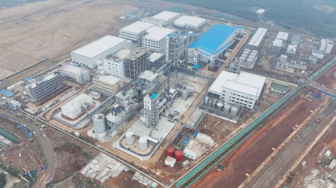 圖/洋浦政務 圖/洋浦政務