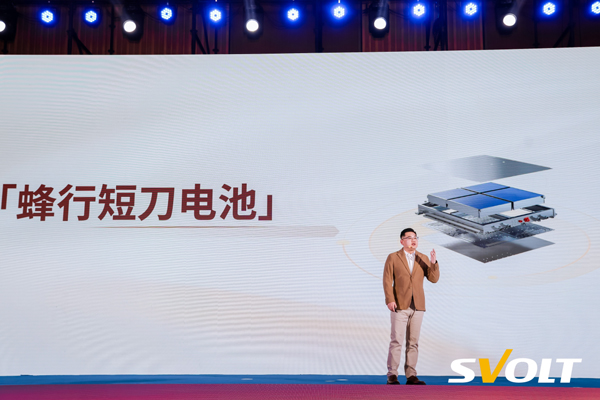 蜂巢能源,動力電池,鋰電池,儲能電池 蜂巢能源,動力電池,鋰電池,儲能電池