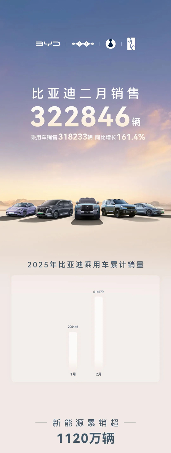 比亞迪汽車：2月份銷售322846輛 同比增長164%