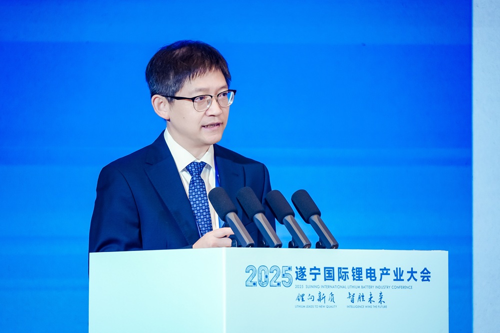 楊軍：四川遂寧下一個綠色能源巨頭或出現在航空動力電池領域