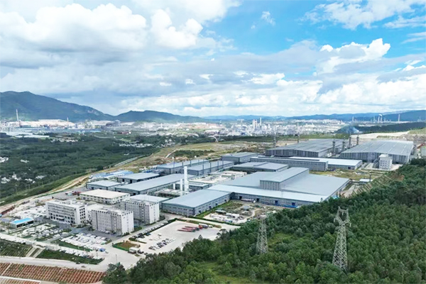 炭素巨頭出手!劍指負(fù)極材料!杉杉集團(tuán)重整迎新變